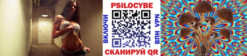 где купить наркотик  Электросталь  Галлюциногенные грибы GOLDEN TEACHER 